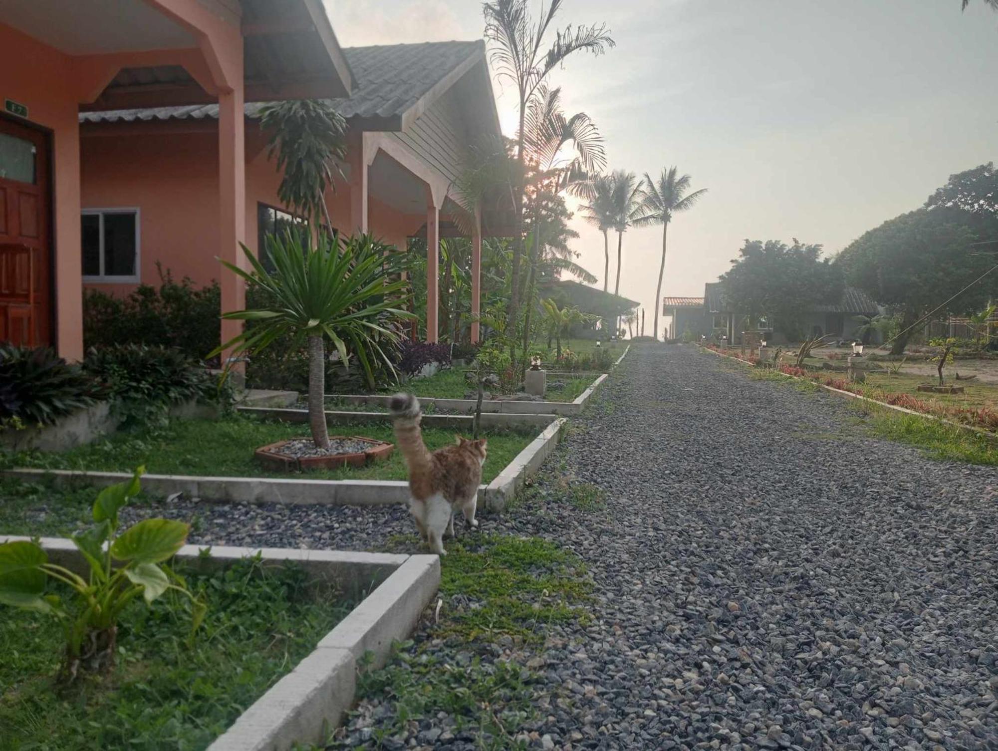 Scandinavian Beach Resort Koh Lanta Luaran gambar